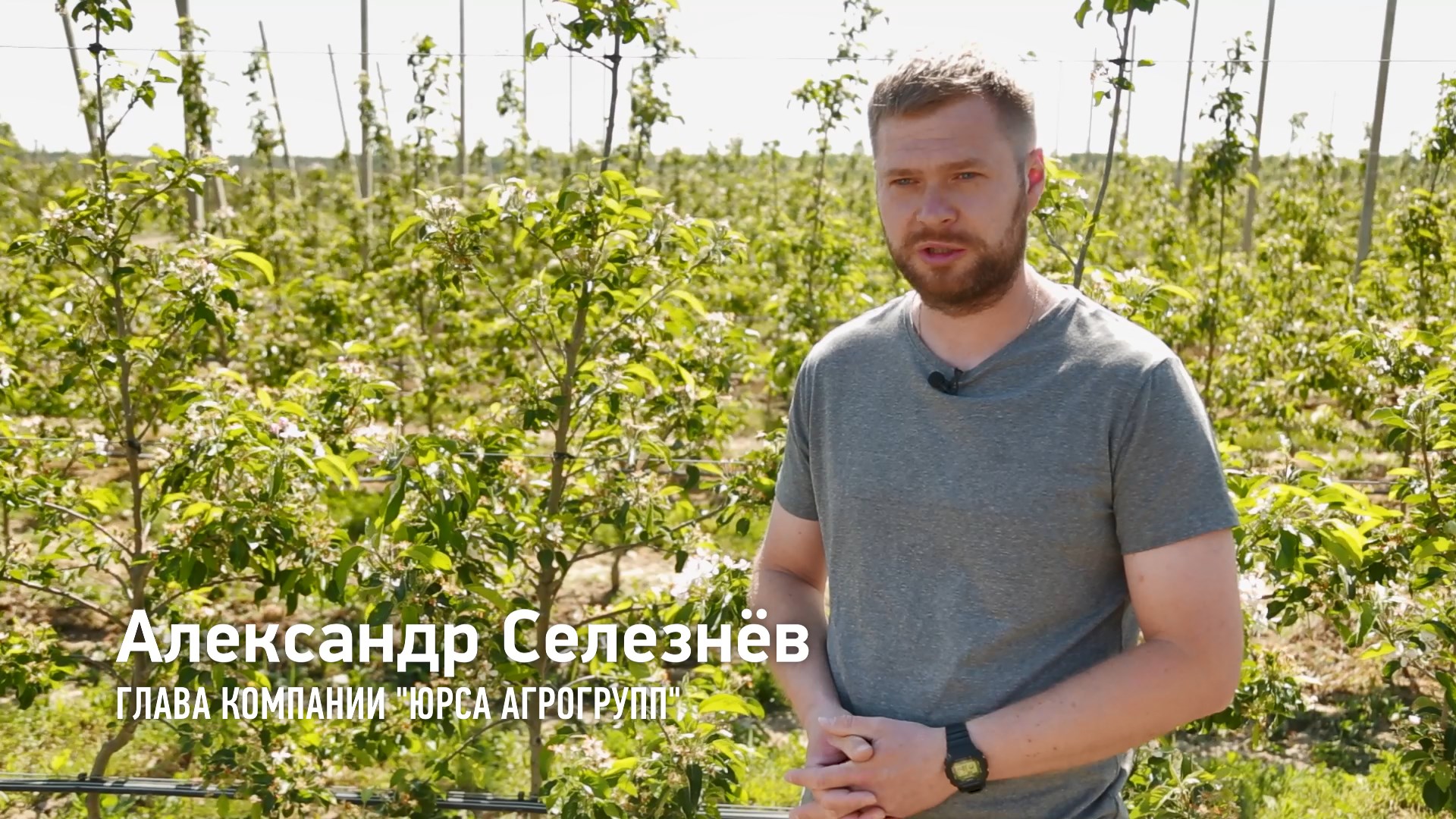 ООО Юрса агрогрупп (яблоневый сад) смотреть онлайн