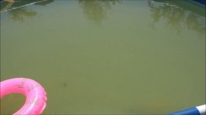 Как очистить воду в бассейне от железа без химии быстро и недорого