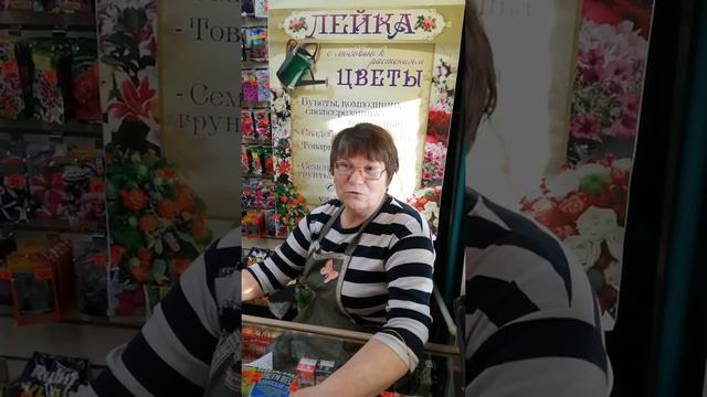 От редиски до капусты сею все я в январе. смотреть онлайн
