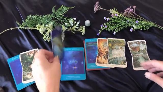 January Livi Mini Readings part 2 смотреть онлайн