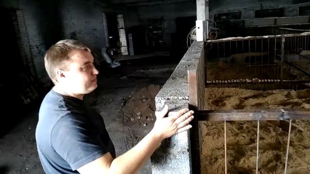 Бактерии для переработки свиного навоза 3. Как правильно расположить клетки в помещении. смотреть онлайн