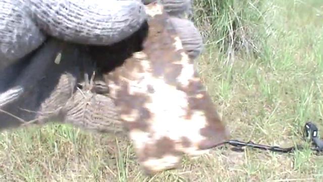 Старое поселение 160км от Павлодара Майский район много монет! смотреть онлайн