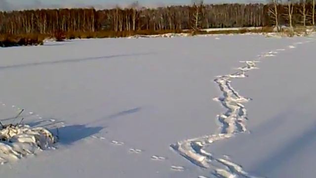 Торфяные болота : верховья Яузы смотреть онлайн