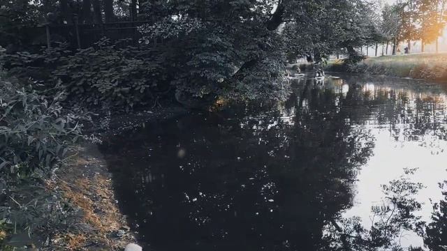 VID 20220805 204259 Снова-любимое 1960 (Г. Айги)...Павел Васильев Лахтинский смотреть онлайн