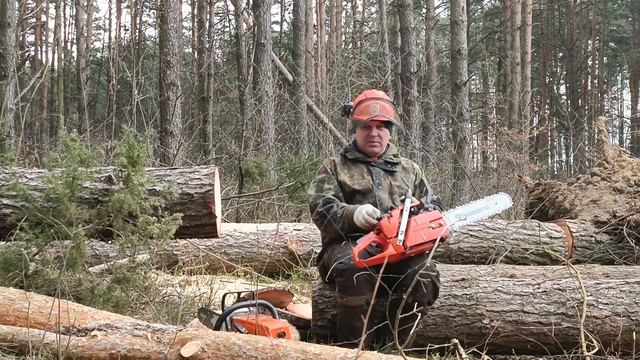 Stihl MS 361 Vs Husqvarna 365, пилим - сравниваем достоинства и недостатки.
