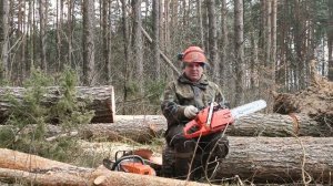 Stihl MS 361 vs Husqvarna 365, пилим - сравниваем достоинства и недостатки.