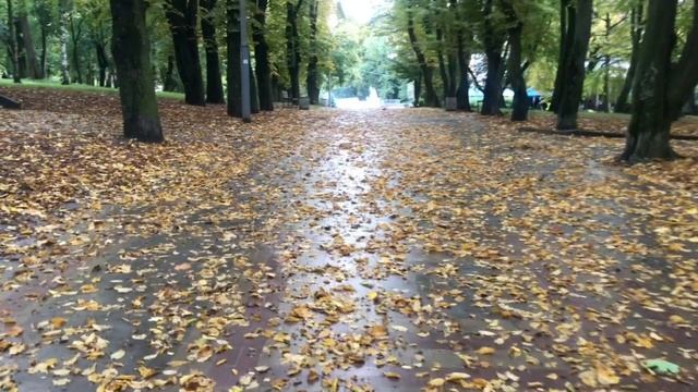Світлана Мейта «Покрова» смотреть онлайн