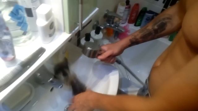 СПАСЕНИЕ КУКИ