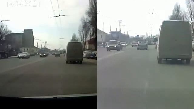 Животные Белгородских дорог смотреть онлайн