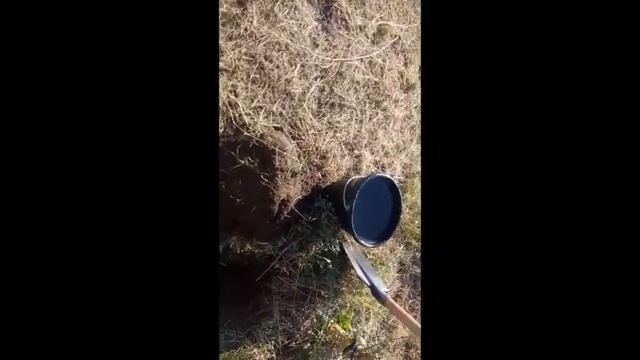 САДИМ РАСТЕНИЯ КАМПСИС В НЕБОЛЬШОМ САДУ!!!! "САДОВОЕ ДЕЛО" 1 смотреть онлайн