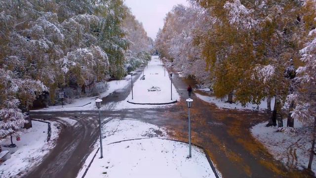 Первый снег в Новосибирске 28 сентября 2022 г. Дендропарк. смотреть онлайн