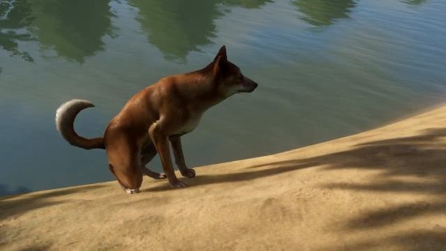 Every Animal in Planet Zoo Having a POO (DLC Edition).☢️ смотреть онлайн