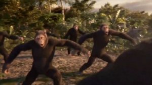 ?обезьяны танцуют под песню малинки?