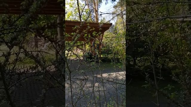 Типичный немецкий дачный гараж смотреть онлайн