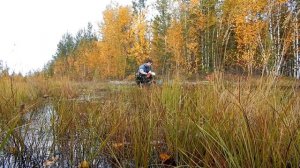 Поход выходного дня с ночёвкой .(+ Кот турист)