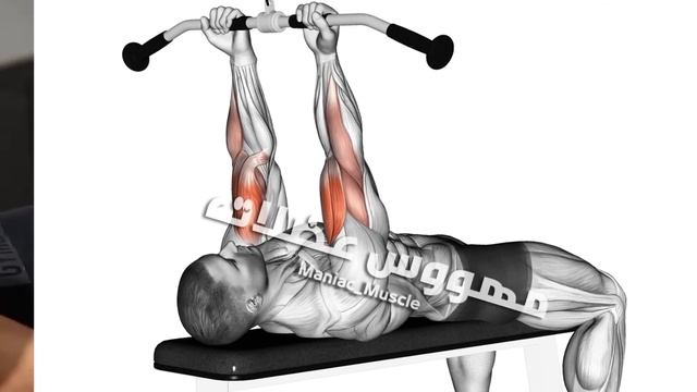 How To Build Huge Biceps Muscles Fas - Maniac Muscl смотреть онлайн