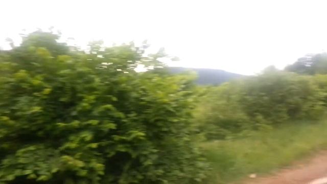 Вытаскиваем пирожок смотреть онлайн