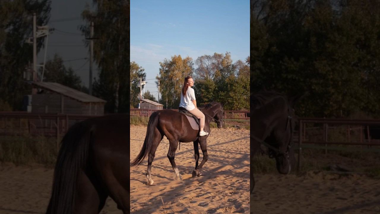 Когда я катаюсь, я отдыхаю душой! #shorts #short #верховая_езда #лошади #отдых #девушка #хобби смотреть онлайн