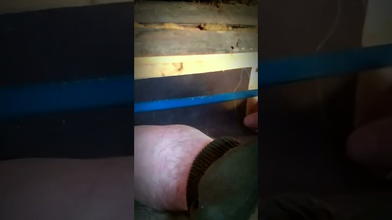 Как сделать резак для наждачной бумаги #лайфхаки смотреть онлайн