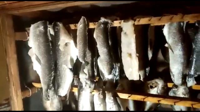 Щука дядюшки Во: Как засушить рыбу в северных традициях? смотреть онлайн