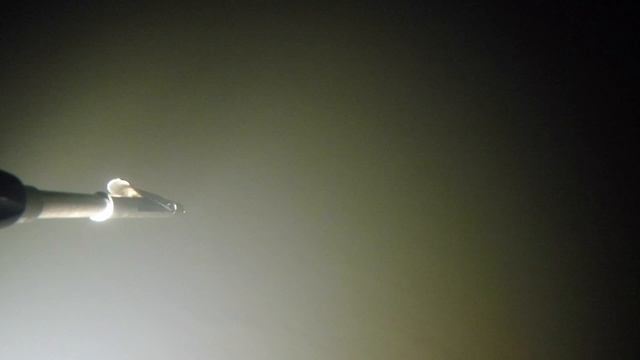 Подводная охота в январе 2020 смотреть онлайн