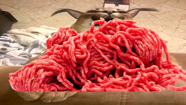 пельмени. хорошие пельмени - это очень вкусно,на самом деле рецепт простой: много мяса, мало теста смотреть онлайн