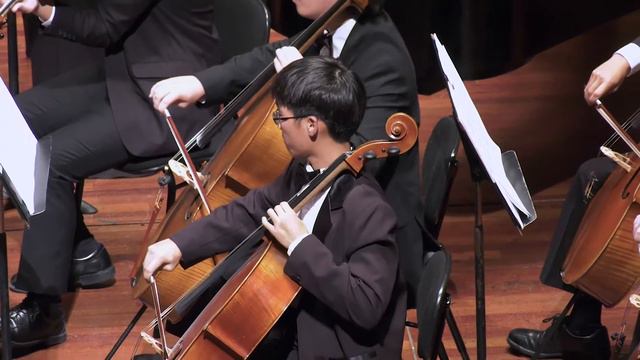 Barber Concerto for Violin, Op. 14 - SDYS 2017 Chamber Orchestra смотреть онлайн