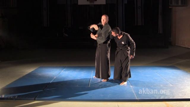 Waki Gatame, elbow lock, basic - Ninjutsu technique for Akban wiki смотреть онлайн