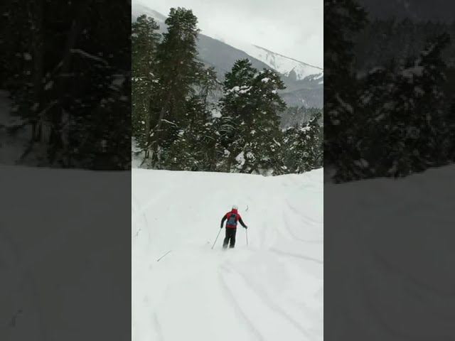 Архыз ski: в лесу на южном склоне смотреть онлайн