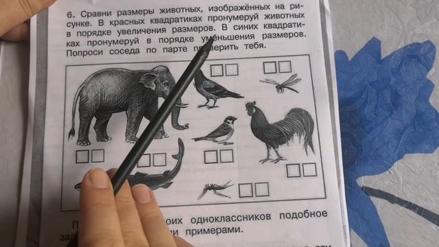 Окружающий мир 19.10.21 смотреть онлайн