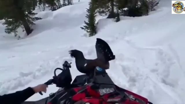 Приколы на охоте и рыбалке. Русские приколы на рыбалке и охоте. Подборка приколов 2020. смотреть онлайн