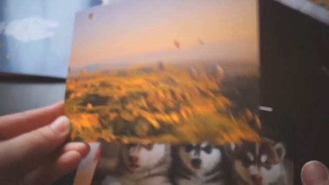 Обзор магазина OwlCard.ru | Покупки открыток для Postcrossing| Распаковываем посылку смотреть онлайн