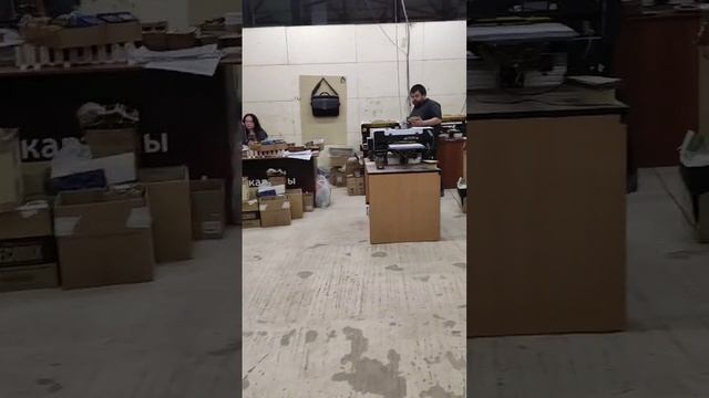 Запуск экосольвентного принтера формата 60х75 см "Ипполит Матвеевич". смотреть онлайн