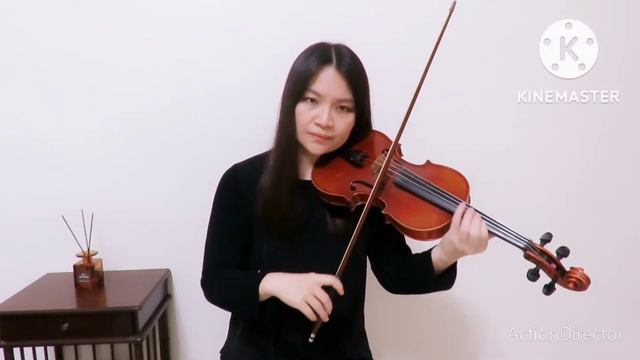 Rihanna - Lift Me Up (From Black Panther: Wakanda Forever) - Lyrical Version(Violin Cover) смотреть онлайн