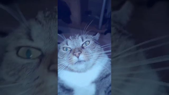 🫥 смотреть онлайн