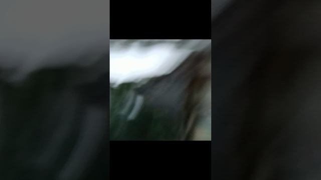 прятки от Илюхи часть 2 смотреть онлайн
