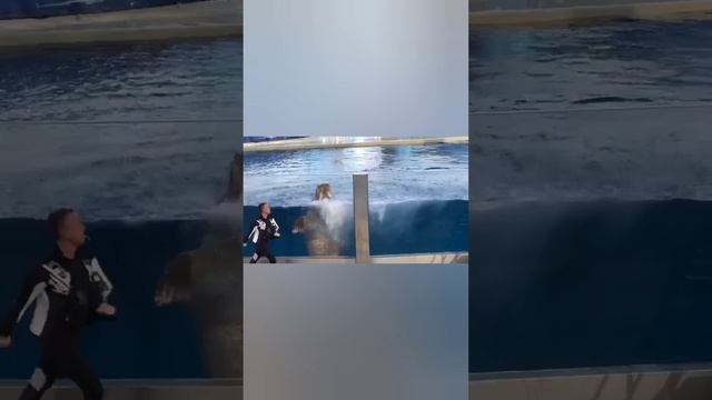 Самый лучший друг!