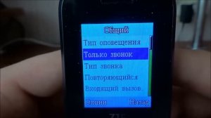 Обзор телефона ZTE R550