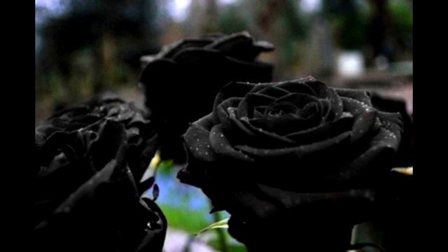 ПРАКТИКИ! ЭНЕРГЕТИЧЕСКАЯ ГАРМОШКА Жизнь на НОВОЙ ЗЕМЛЕ 2021 Отец Абсолют приняла Марта смотреть онлайн