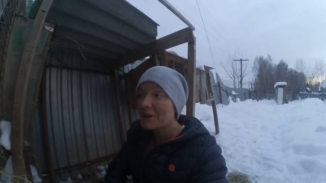 Белый великан. Лучшая порода кроликов! смотреть онлайн