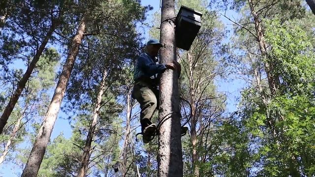 Ставим ловушки так, чтобы им не приделали "ноги". смотреть онлайн