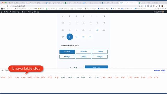 Salon Booking System - Time slots inspection tool смотреть онлайн
