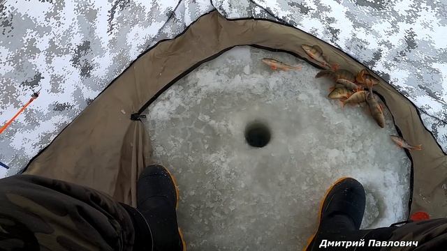 НАТКНУЛИСЬ НА ОКУНЁВУЮ СТАЮ И ДАВАЙ ЛОВИТЬ! НАКИДАЛ ОКУНЕЙ НЕ ВСТАВАЯ С МЕСТА. Рыбалка на мормышку.
