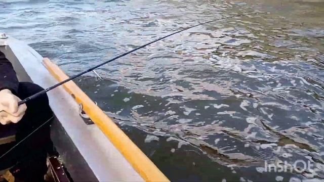 Рыбалка на реке Дон. Только Ёрш.... смотреть онлайн