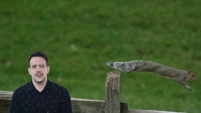 How The World SOUNDS To Animals смотреть онлайн