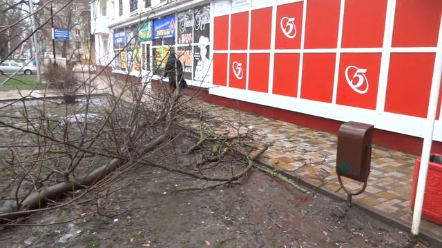 на морозова сломалась веточка 18.03.2014 смотреть онлайн