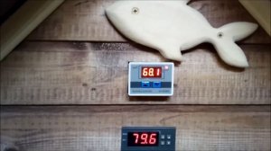 Пропарка окорочков в деревянной коптильне с парогенератором и конвекцией