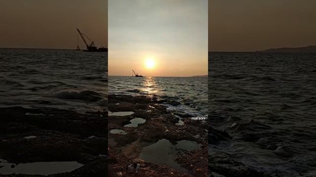 просто море, закат, кошки, люди смотреть онлайн