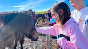 Мы таки увидели северное сияние Исландии