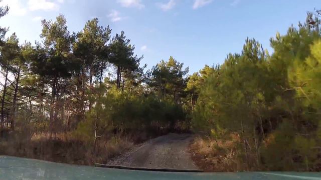 Дорога к Сосновой роще Геленджик смотреть онлайн